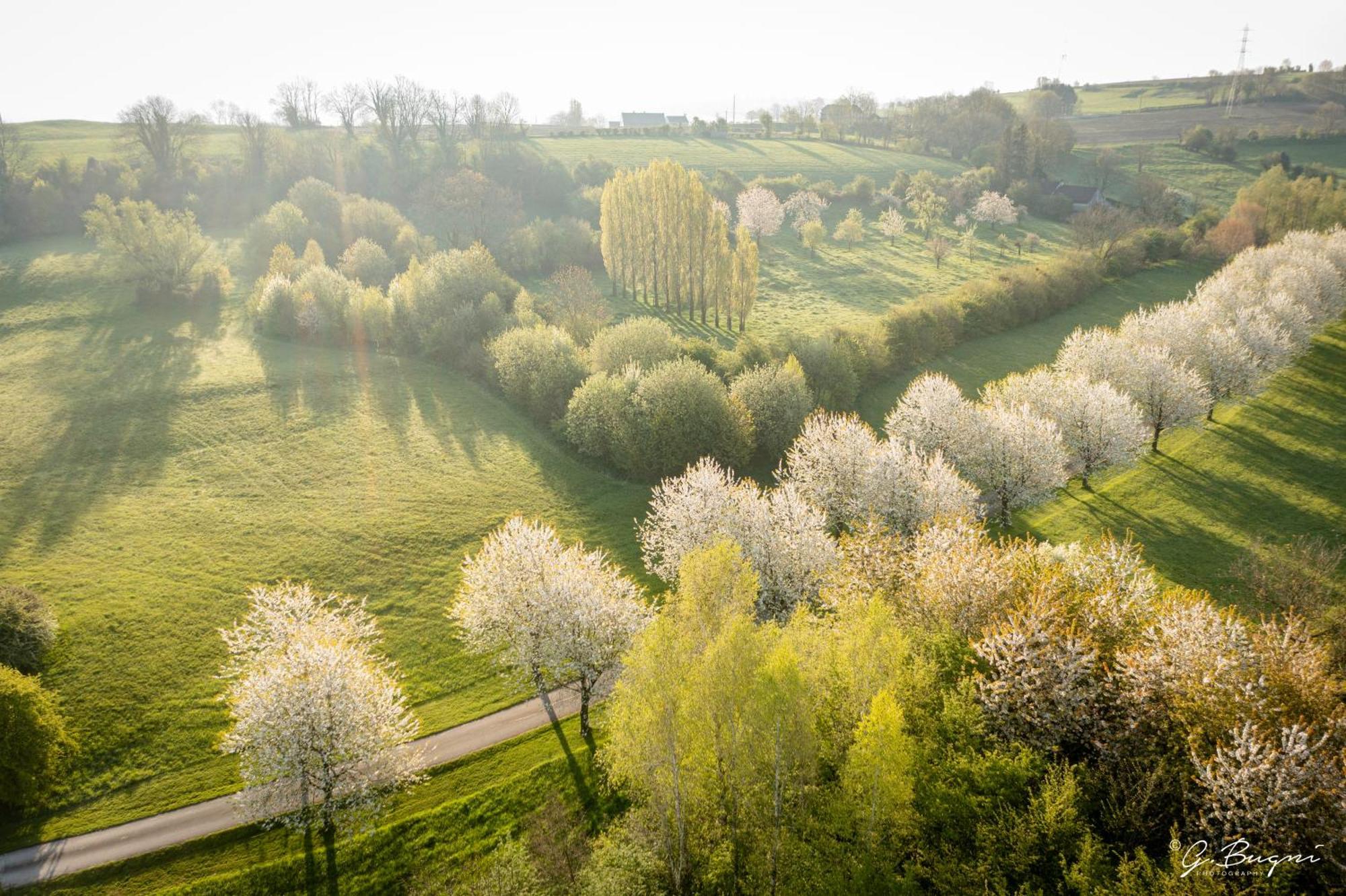 Cote Verger B&B Батис Экстерьер фото